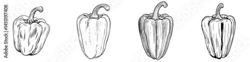 The green bell pepper is a modern and natural representation of paprika, symbolizing a fresh and healthy vegetable, and is often depicted in cartoon form as a design element for Bulgarian peppers,