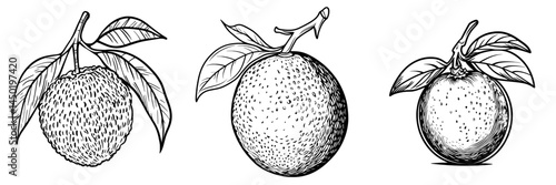 Exotic litchi, or lychee fruit, is a tropical delight, with isolated examples of peeled and unpeeled lichi featuring fresh pulp on display