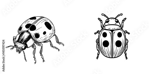 The ladybug beetle is a symbol of pest control and agriculture disinsection services, representing modern methods of managing insect parasites and vermin through pesticide use, specifically within