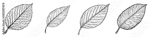 Autumn tree leaf, an isolated modern icon of fall foliage, featuring poplar, birch, elm, or linden trees with dry green and yellow leaves
