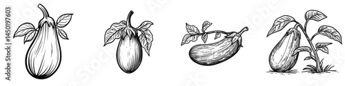 A fresh eggplant represents a modern and healthy food option, consisting of organic vegetables isolated on a white background, serving as a cartoon element for design that highlights ripe plants and