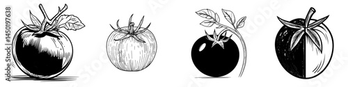 A ripe tomato, a natural vegetable, is depicted as a modern and fresh plant or a healthy component of a salad, isolated on a white background, serving as a cartoon element for design, representing