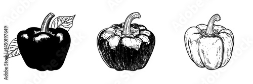 A modern and natural red bell pepper, a fresh and healthy vegetable, is isolated on a white background as a cartoon paprika or Bulgarian pepper element for design purposes, representing organic