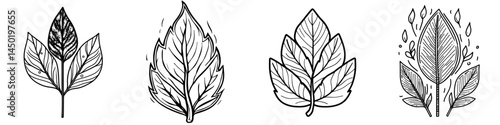 A modern icon of autumn, the rowan leaf is depicted as a cartoon illustration of fallen foliage, specifically a red tree leaf, serving as a natural design element and isolated botanical object set