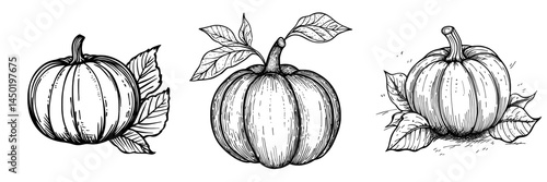 A modern, isolated icon of the pumpkin, a vegetable commonly associated with autumn, Thanksgiving, and the harvest season, is depicted with green leaves, symbolizing the farm, garden, and holidays of