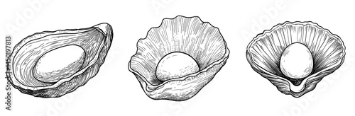 The image features a cartoon shell with a pearl, an underwater animal, and an isolated modern seashell mother with her case open, displaying a nacre jewelry ball on a pink tongue, evoking the idea of