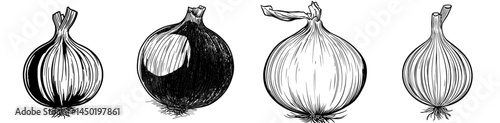 A solitary raw red onion bulb serves as a vegetable, accompanied by a purple shallot that is farm fresh and harvested naturally, representing a healthy food or culinary seasoning ingredient, depicted