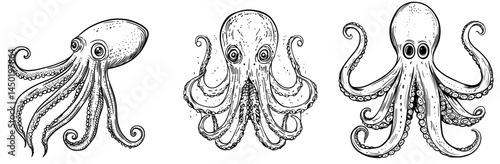 The modern calamari mollusk, a cartoon squid, is an underwater animal and a sea creature, characterized as an invertebrate marine fauna inhabitant with pink skin and tentacles, living an isolated