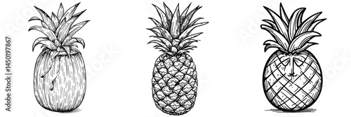 The pineapple is a modern and fresh tropical plant with a whole unpeeled exotic fruit that has yellow pulp and a spiky green peel, often depicted as a ripe organic product and cartoon element for