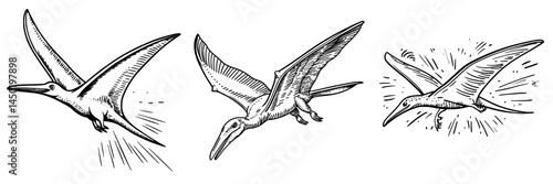 The cartoon pterodactyl is depicted as an isolated Pteranodon, a modern flying dinosaur and prehistoric pterosaur dino bird