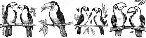 Mexican toucan birds are depicted in cartoon form, showcasing the wild nature fauna of Mexico, Costa Rica, or South America, including the amazonian rainforest and its exotic zoo animals