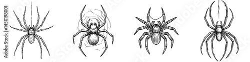 The icon of a spider on a net represents a modern Halloween holiday object, symbolizing a poisonous insect like the black widow