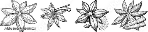Isolated spicy seasoning of star anise dry fruit condiment