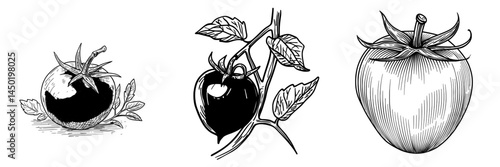 A ripe tomato is a modern icon symbolizing a natural vegetable and healthy food, isolated on a white background as a cartoon element for design, representing organic veggies and a fresh natural plant
