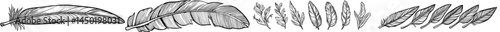 A modern quill symbolized by an isolated monochrome sketch of a writing feather pen represents old handwriting