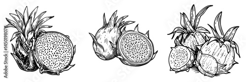Modern pitaya, an exotic tropical dessert, is represented by a dragon fruit isolated food sketch