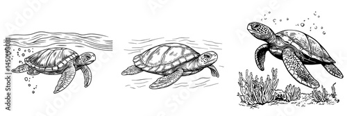 The leatherback sea turtle is depicted in a monochrome sketch icon as a unique marine underwater animal, characterized by its leathery skin, and is also referred to as a lute, with the luth being the