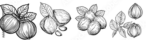 Modern chickpea superfood, bengal beans, protein snack, and vegetarian peas are represented by an isolated outline icon of organic healthy food