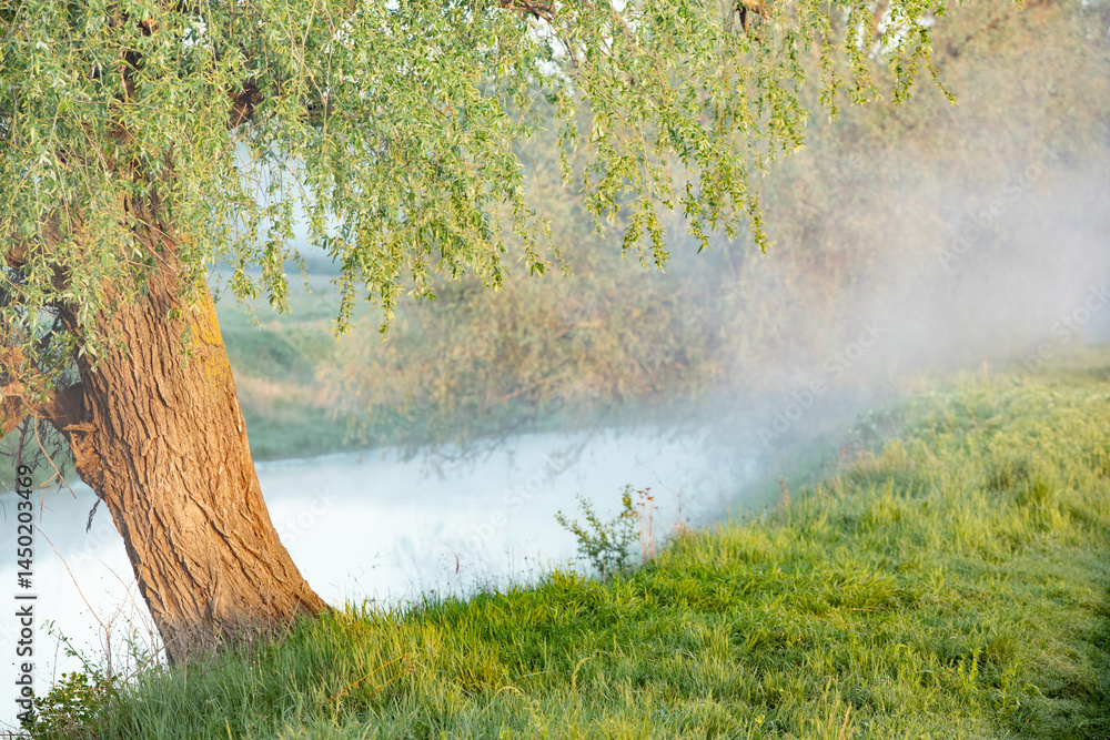 Beautiful landscape with the Raut River in the Republic of Moldova. rural nature in Eastern Europe.