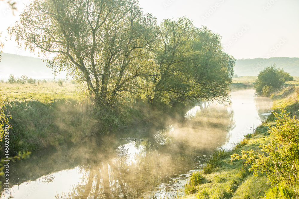 Beautiful landscape with the Raut River in the Republic of Moldova. rural nature in Eastern Europe.