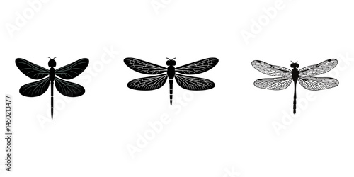 vector black silhouette of dragonfly insect, A black and white drawing of a dragonfly. The dragonfly is laying on its side and has its wings spread out, set of silhouettes of dragonfly, Dragon Fly.
