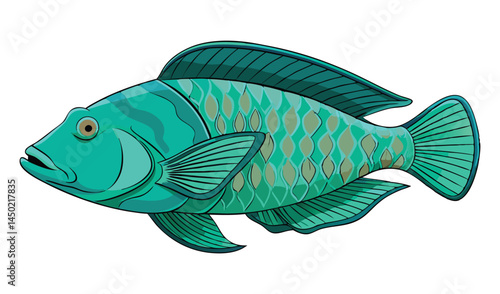 A vibrant vector illustration depicts a tropical Siamese fighting fish, a captivating aquatic animal against a white backdrop