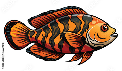 Vibrant orange and black tiger oscar fish illustration