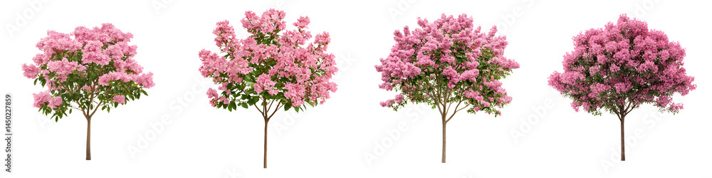 Fototapeta premium Flowering pink trees in bloom
