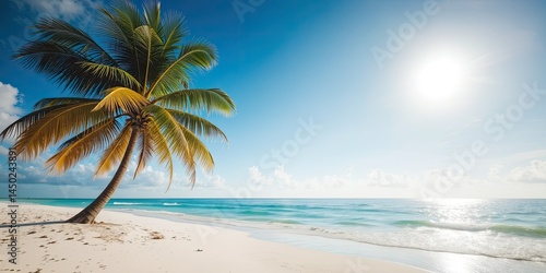 Isolated Palm Tree on Pristine Beach, Blue Sky Daydream
