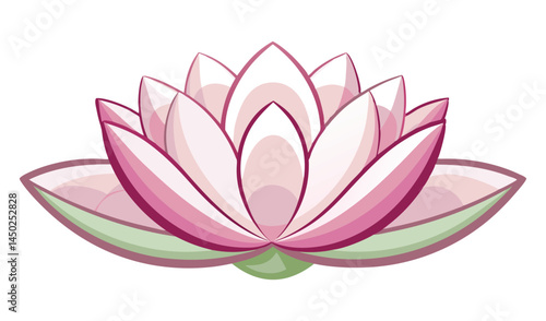 Pink and white lotus flower illustration