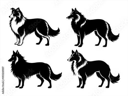 collie sihouette black vector bundle