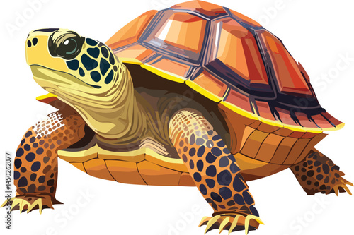 Eastern Box Turtle flat vector illustration on transparent background.