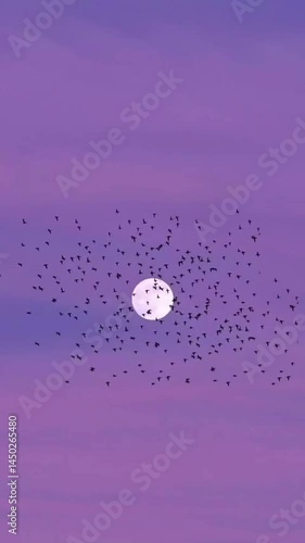 A vast, purple sky, dotted with numerous small black shapes, encircles a bright white moon