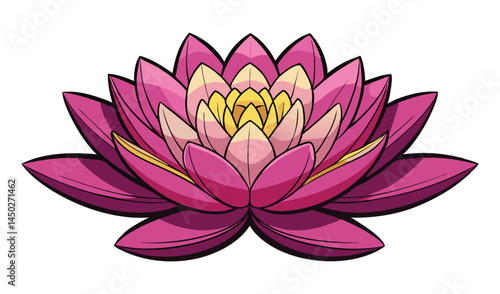 Pink water lily flower illustration botanical art