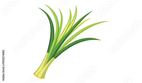 Fresh green lemongrass stalks isolated on white