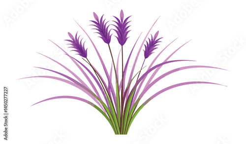 Purple ornamental grass illustration isolated on white