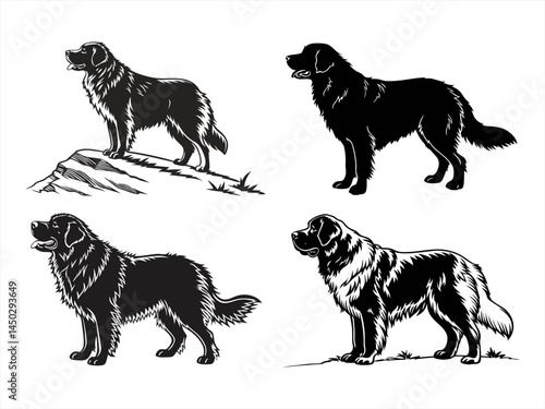 newfoundland dog sihouette black vector bundle
