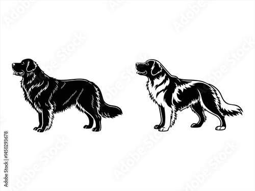 newfoundland dog sihouette black vector bundle