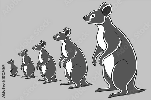 Cartoon wallabies in ascending order representing growth and development concept