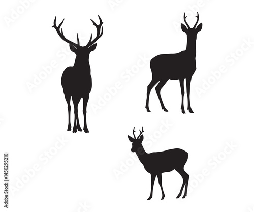 Silhouettes of deer in black, including male, female, and roe deer