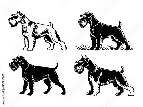 schnauzer sihouette black vector bundle