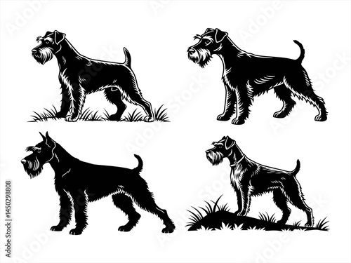schnauzer sihouette black vector bundle