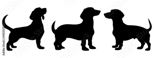 silhouette of a girl