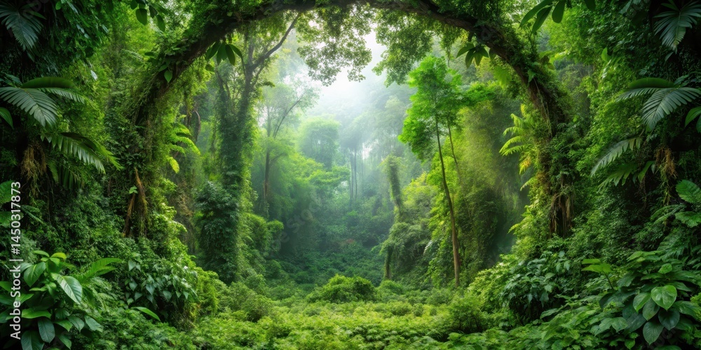 Fototapeta premium Overgrown vegetation surrounds a circular clearing in the jungle