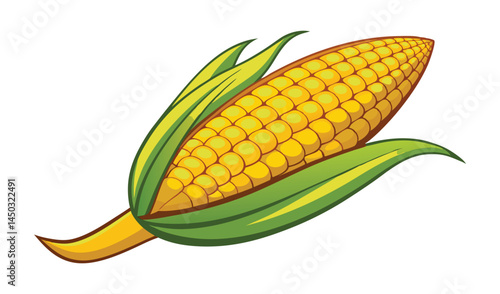 corn cobs isolated on white
