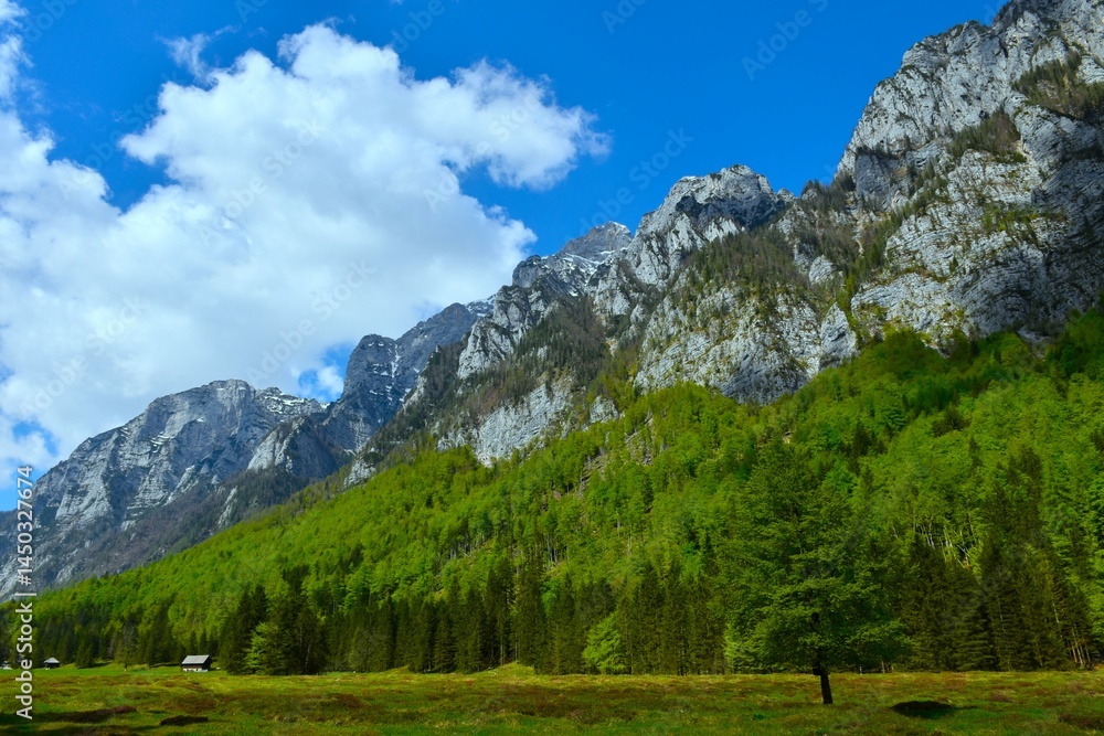 Mountains rising above a a forest and a meadow in Julian alps, Slovenia