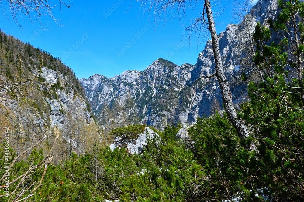 View of mountain peak above Krma valley in Gorenjska, Slovenia