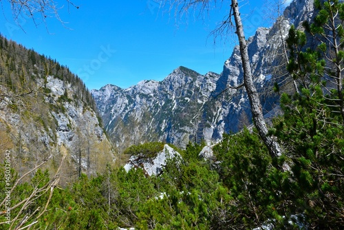 Obraz na płótnie View of mountain peak above Krma valley in Gorenjska, Slovenia w salonie