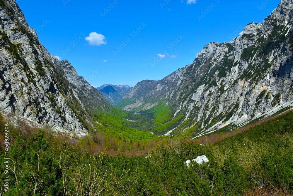 View of Krma valley in springtime in Julian alps, Gorenjska, Slovenia