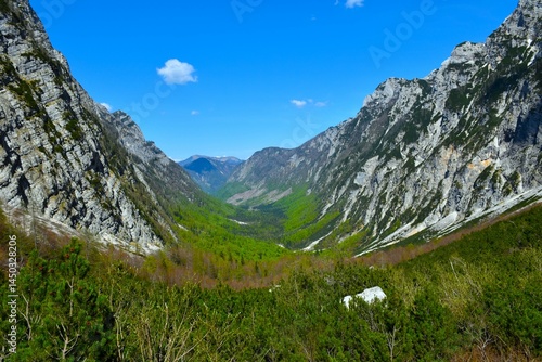 Obraz na płótnie View of Krma valley in springtime in Julian alps, Gorenjska, Slovenia w salonie